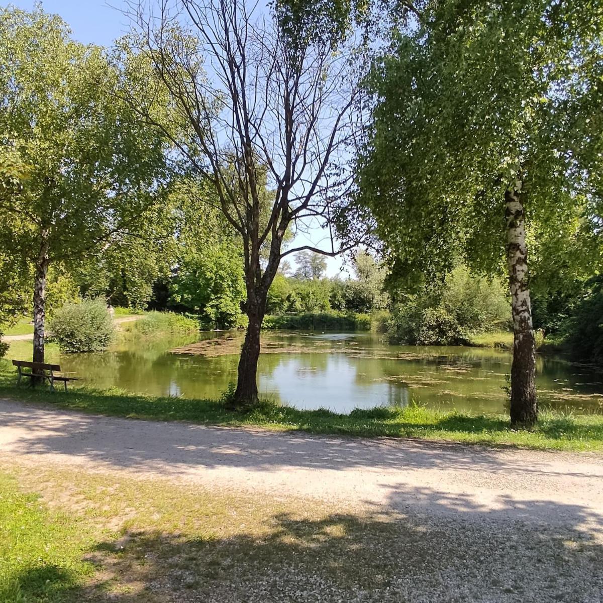 Smart Madrid Mit Terrasse, Europapark, Rulantica 15min Boofzheim